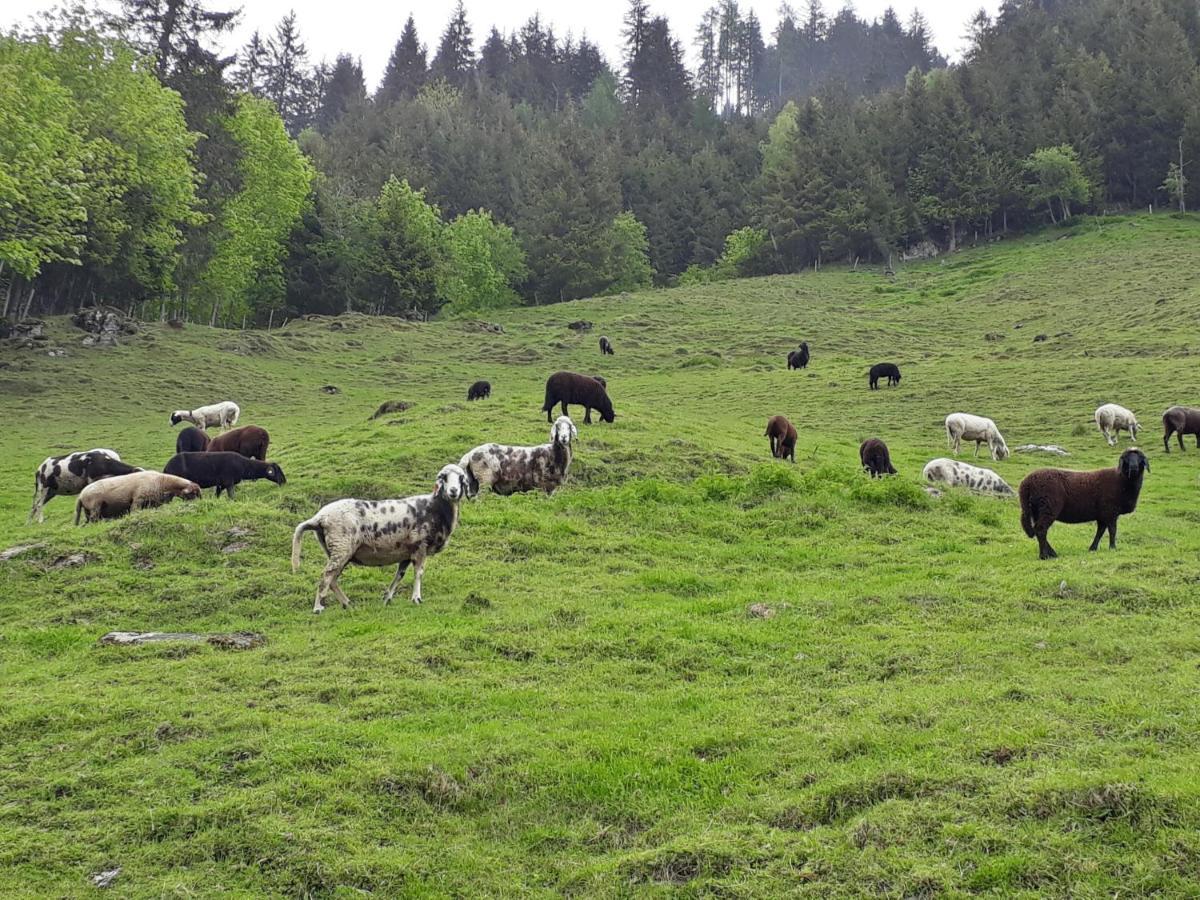 Stallerhof Huttschlag Luaran gambar